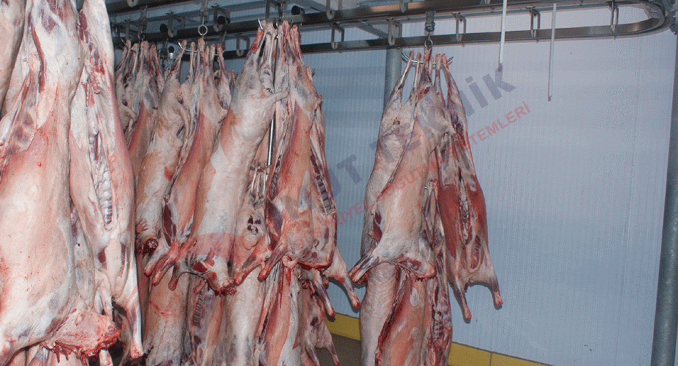 Soğuk Hava Deposu - 6